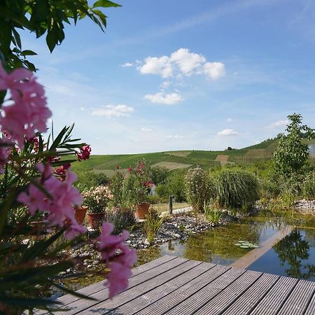 The View Villa Ilsfeld Buitenkant foto