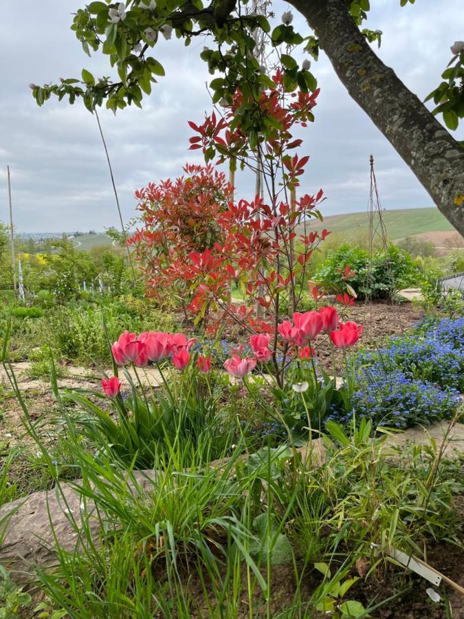 The View Villa Ilsfeld Buitenkant foto