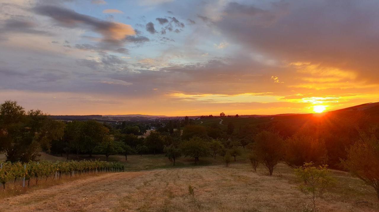 The View Villa Ilsfeld Buitenkant foto