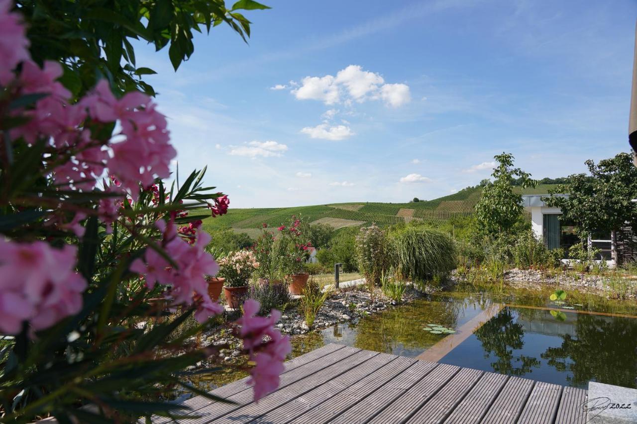 The View Villa Ilsfeld Buitenkant foto