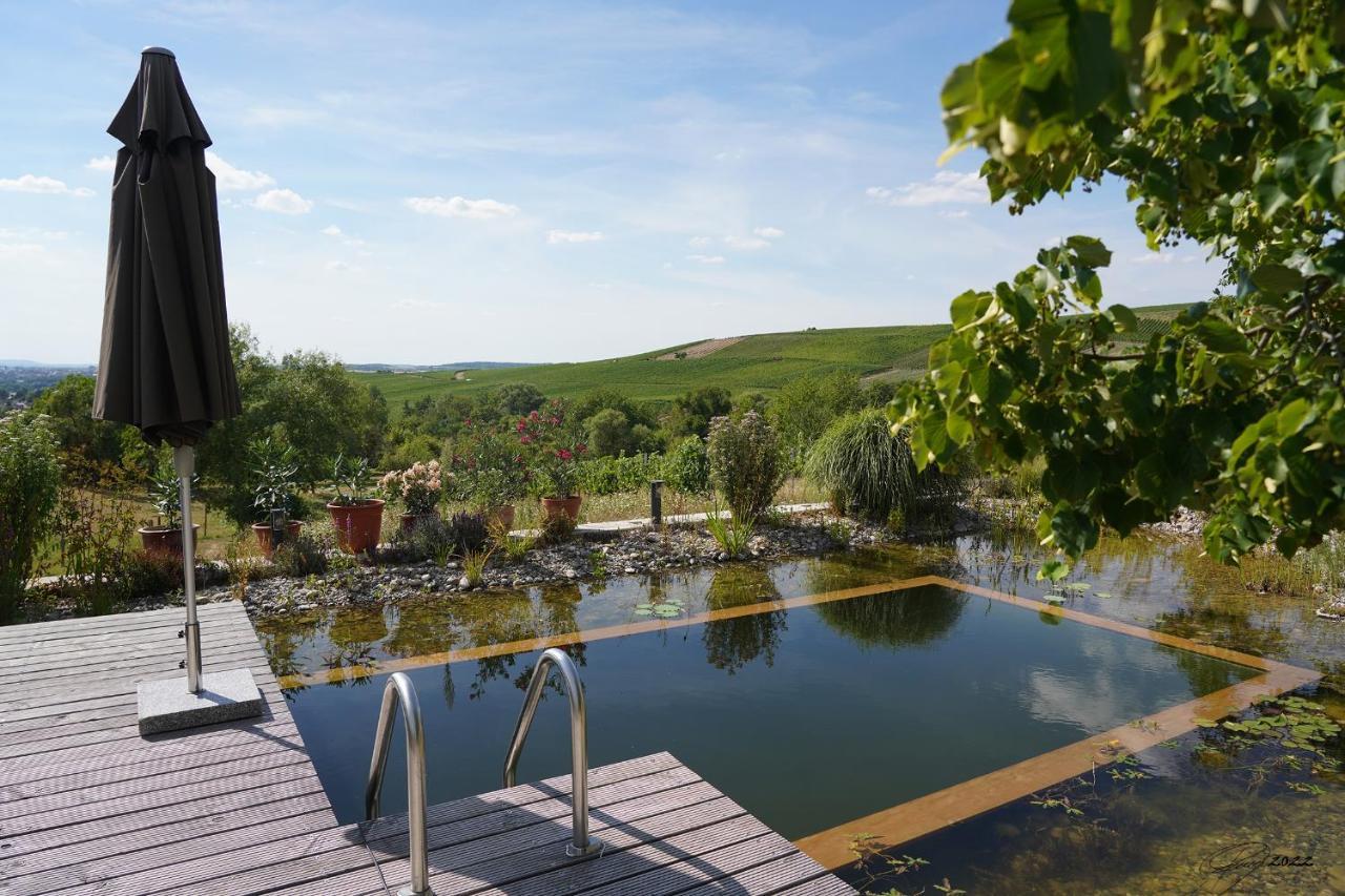 The View Villa Ilsfeld Buitenkant foto