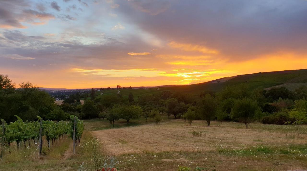 The View Villa Ilsfeld Buitenkant foto